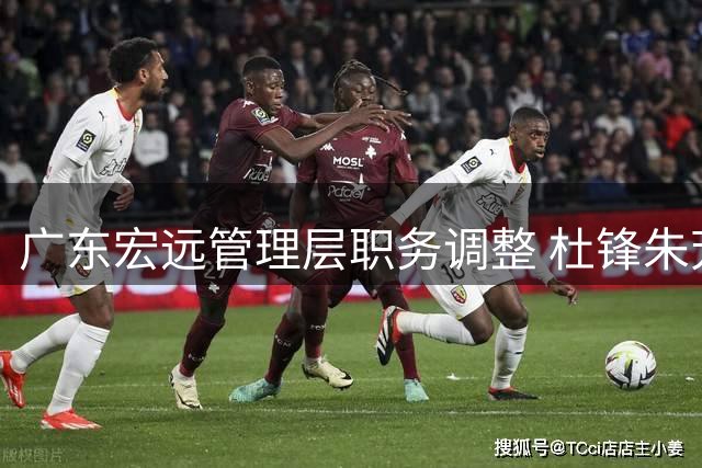 广东宏远管理层职务调整 杜锋朱芳雨功能转换